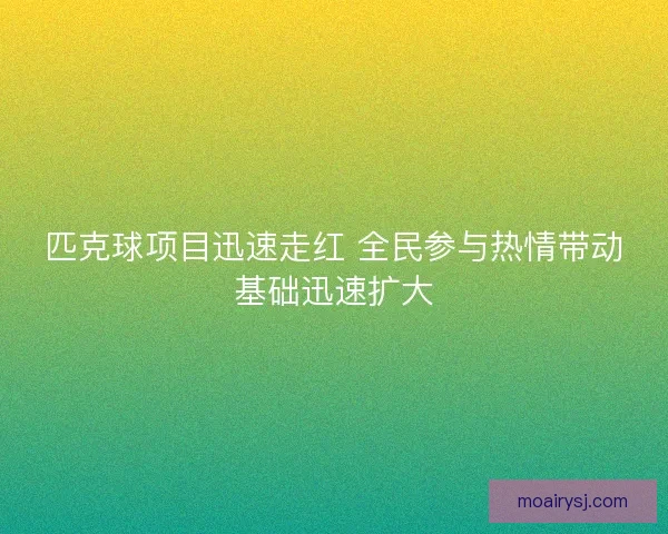 匹克球项目迅速走红 全民参与热情带动基础迅速扩大