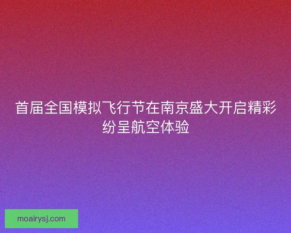首届全国模拟飞行节在南京盛大开启精彩纷呈航空体验