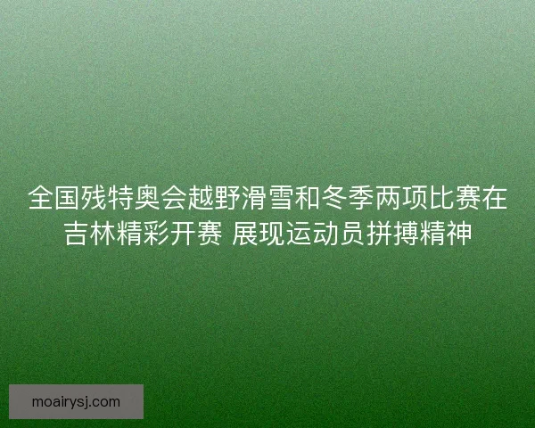 全国残特奥会越野滑雪和冬季两项比赛在吉林精彩开赛 展现运动员拼搏精神